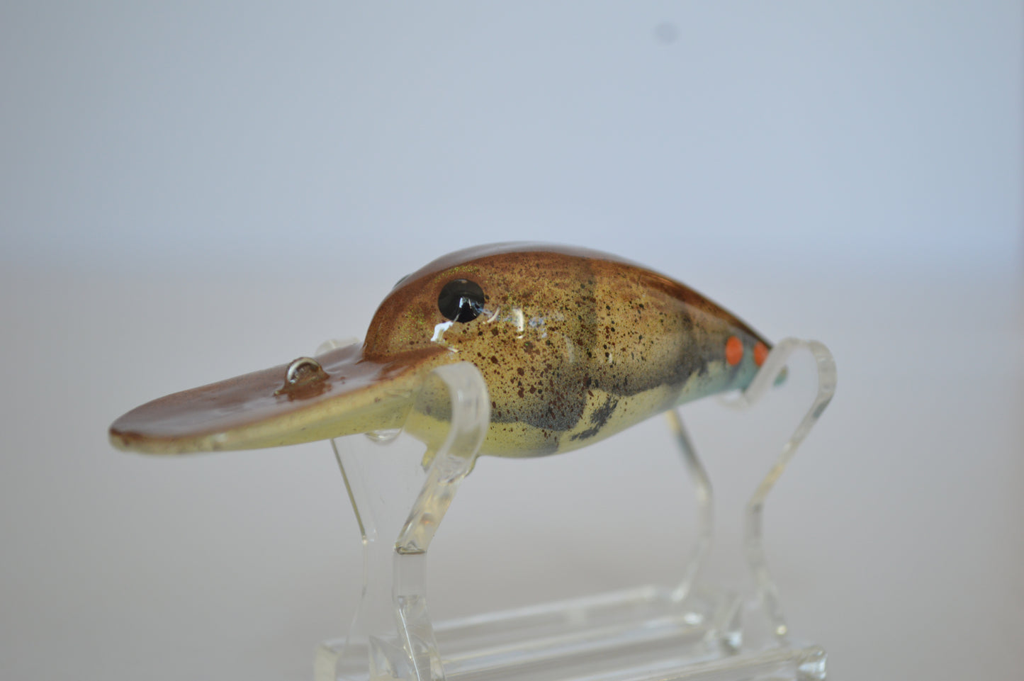 Blue Craw Diver