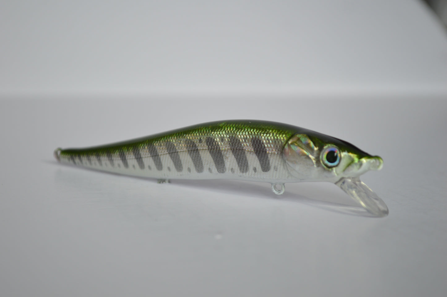 Great Lakes Emerald Shiner