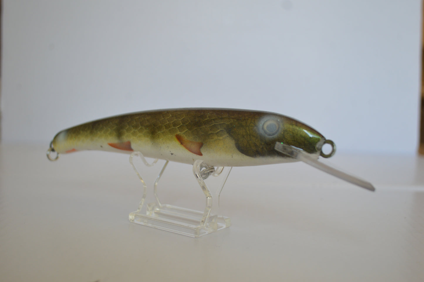 The Walleye