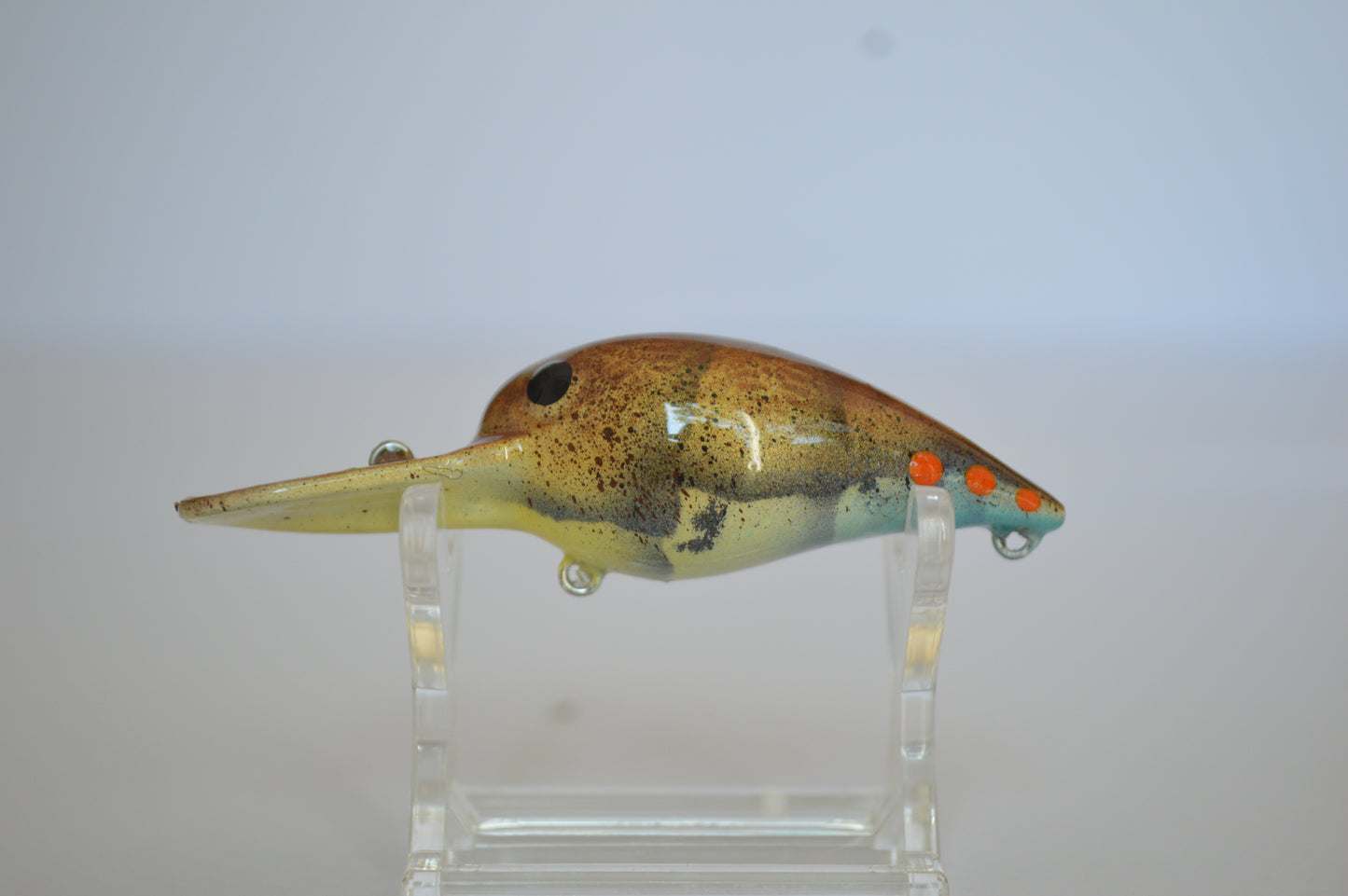 Blue Craw Diver
