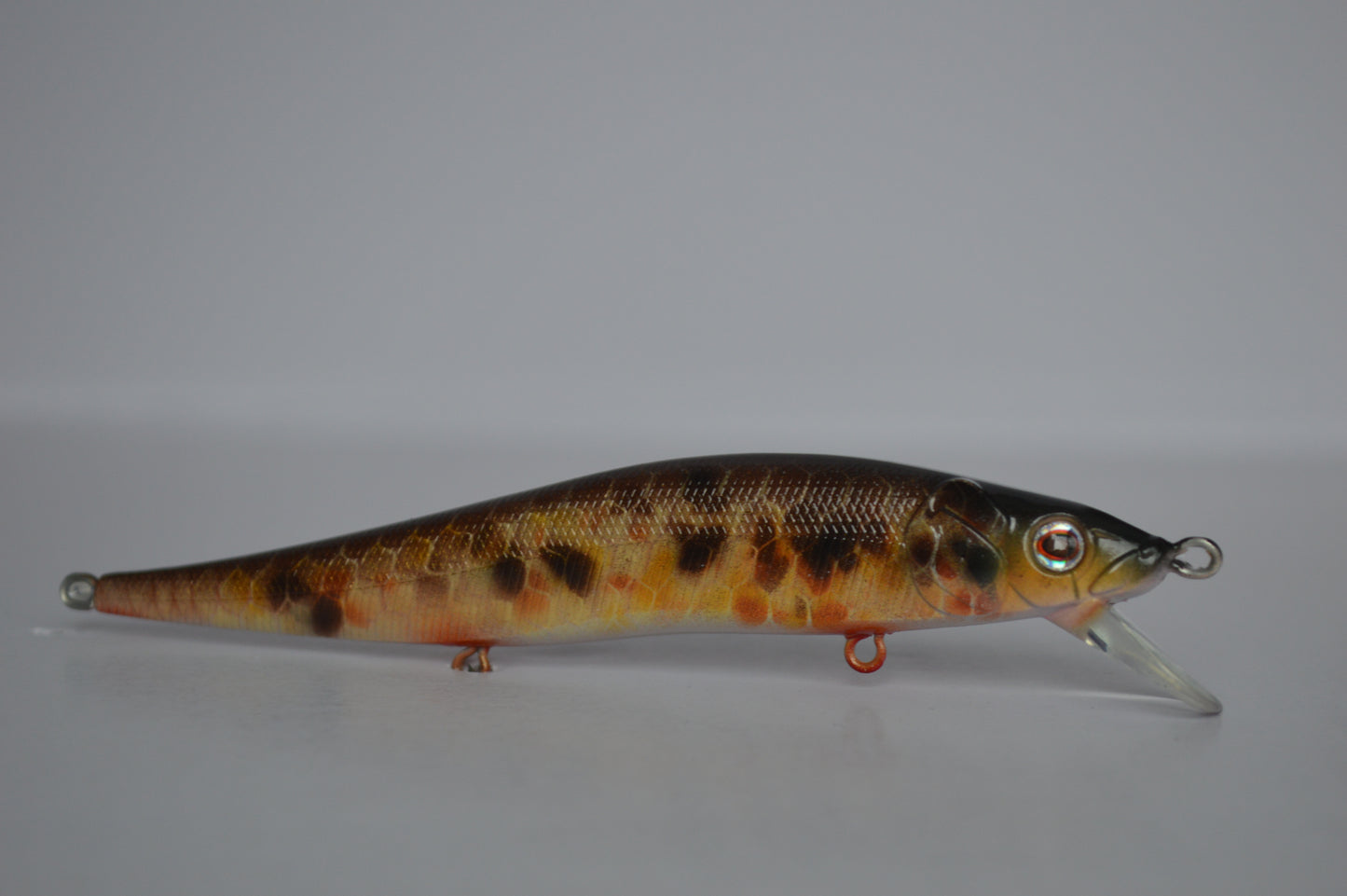 The Sucker Jerkbait