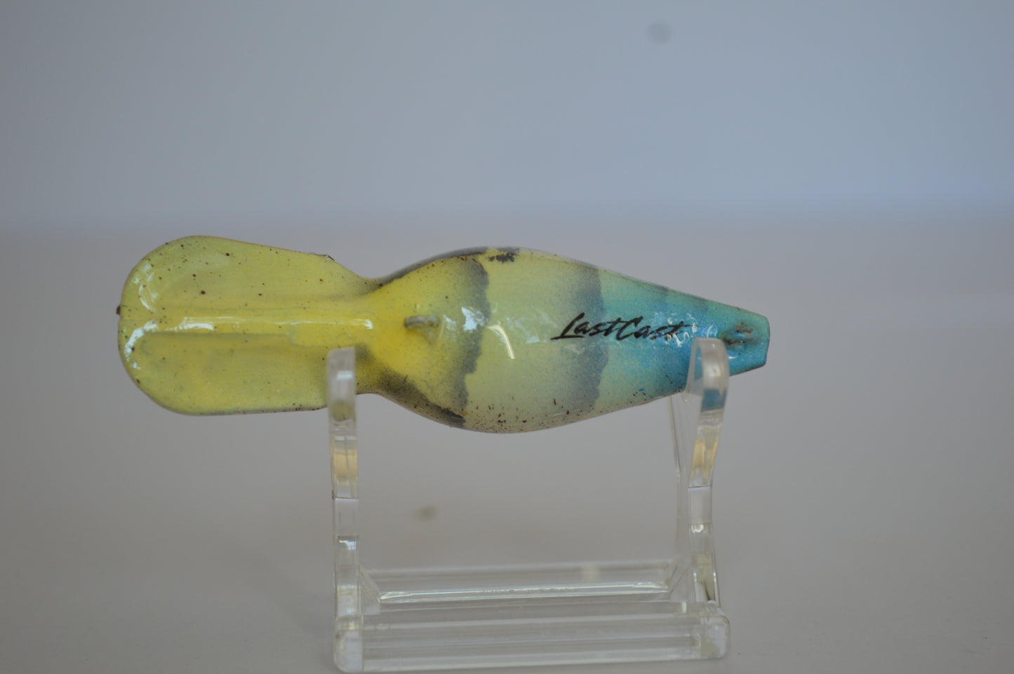 Blue Craw Diver