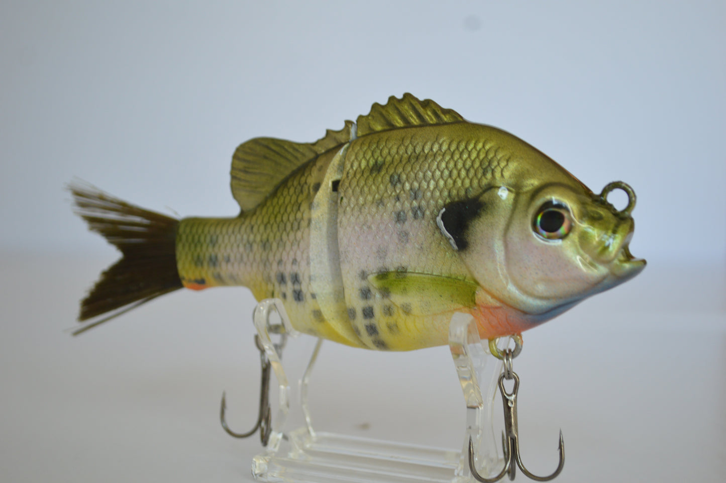 Natural Bluegill Glide