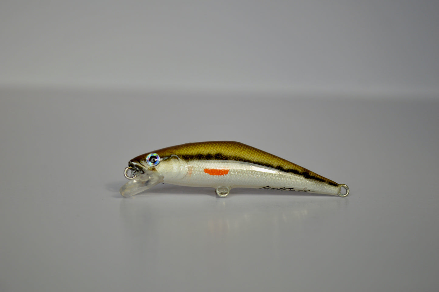 Micro Creek Chub