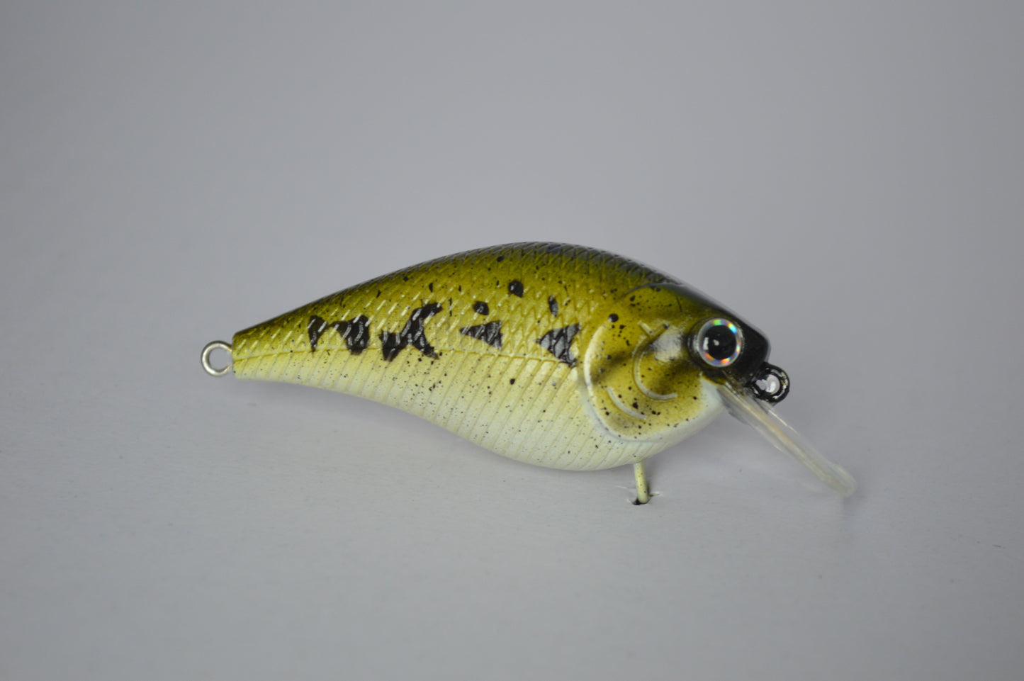 Baby Bass Squarebill