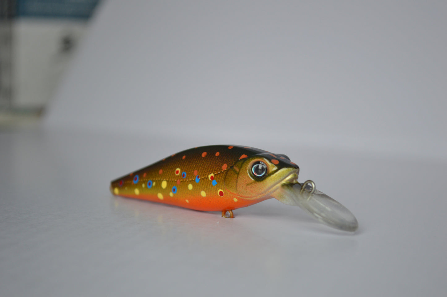 Brown Trout Minnow