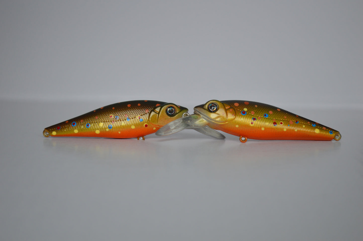 Brown Trout Minnow