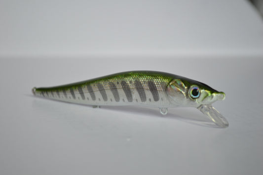 Great Lakes Emerald Shiner