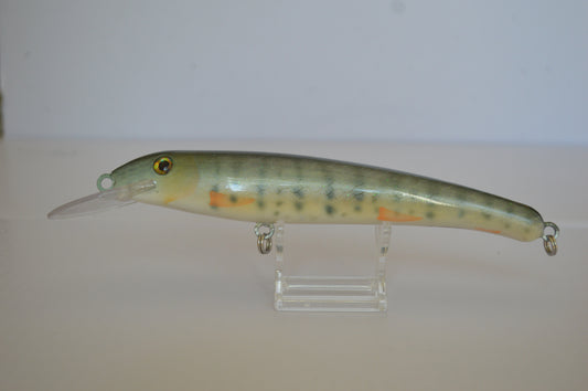 The Baby Musky