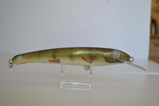 The Walleye