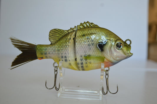 Natural Bluegill Glide